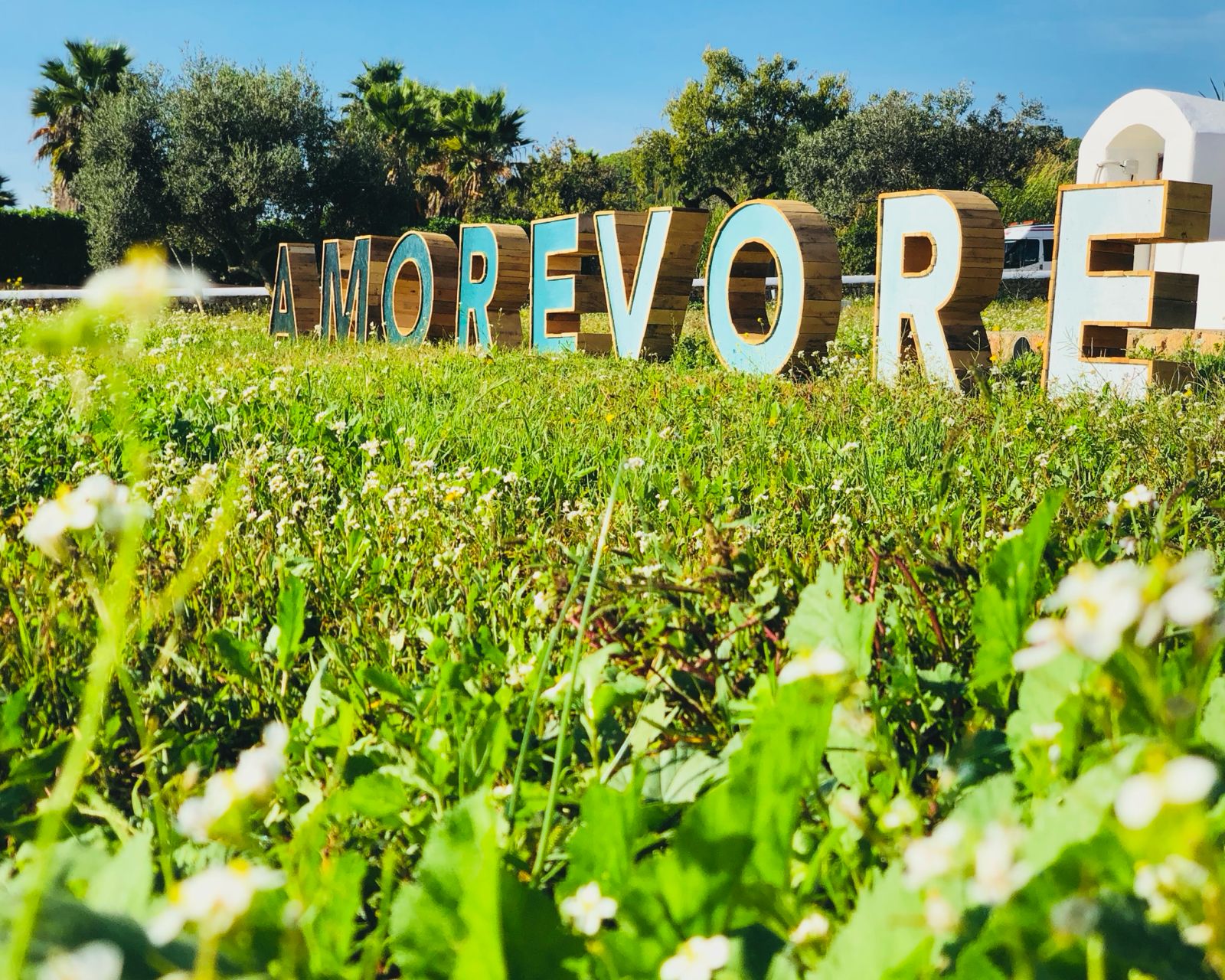 Amorevore Food & Arts Festival, Ibiza